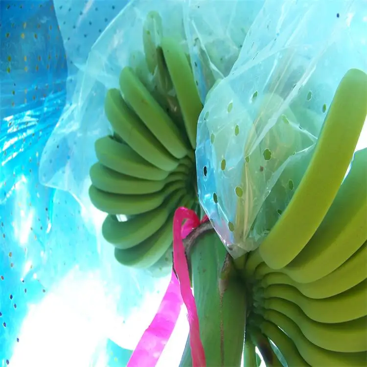 Blue Plastic Banana Protect Cover Bag Buy Plastic Banana Protect