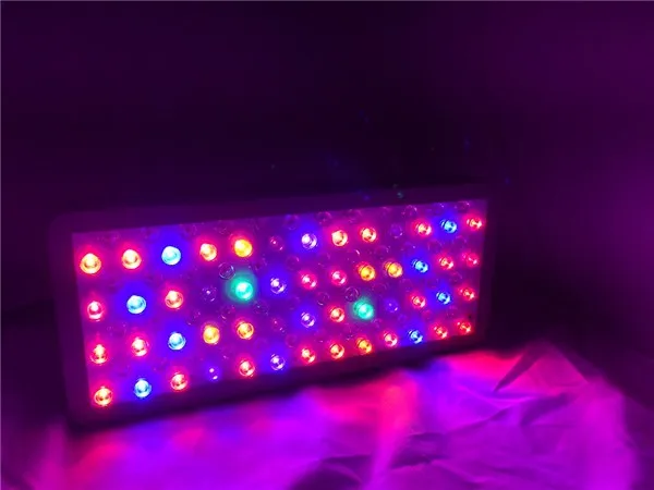 Platinum advanced led p1200 1200w grow lights full spectrum led for light deprivation greenhouse