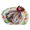 Frozen BQF fresh Frozen giant squid tentacles