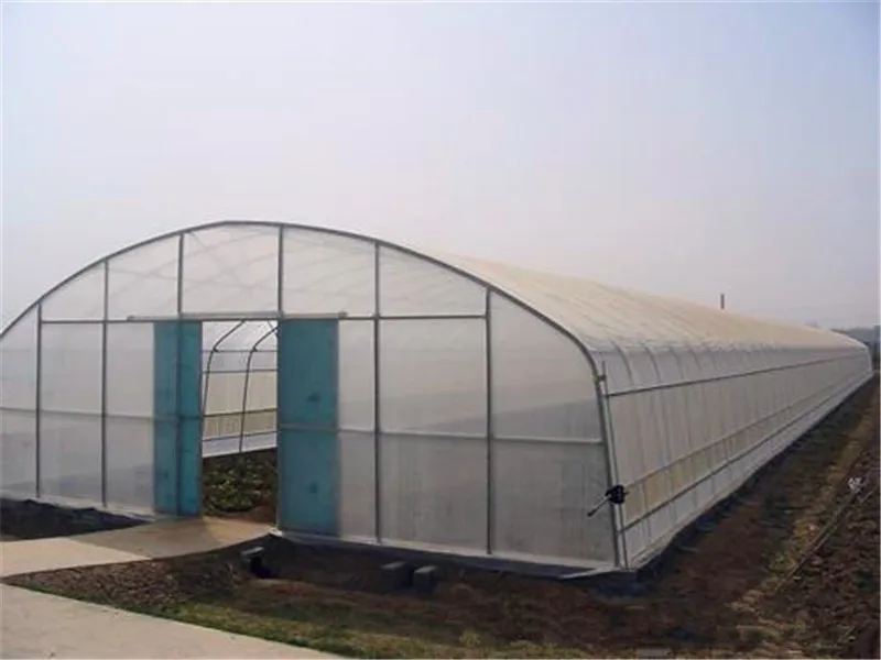 Agriculture Used Poly Tunnel\plastic Film Greenhouse Tent For Sale
