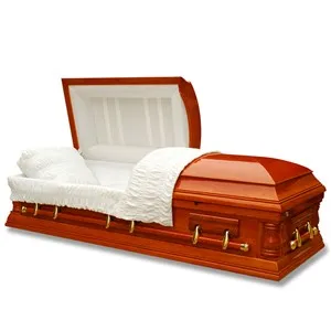 CAMERON CARDBOARD CASKET.jpg