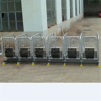 Hot Dip Galvanized Sow Gestation Pens In China Buy Pork Sow Gestation Crates Sow Stall Pig Pen Poultry Farming Equipment Product On Alibaba Com