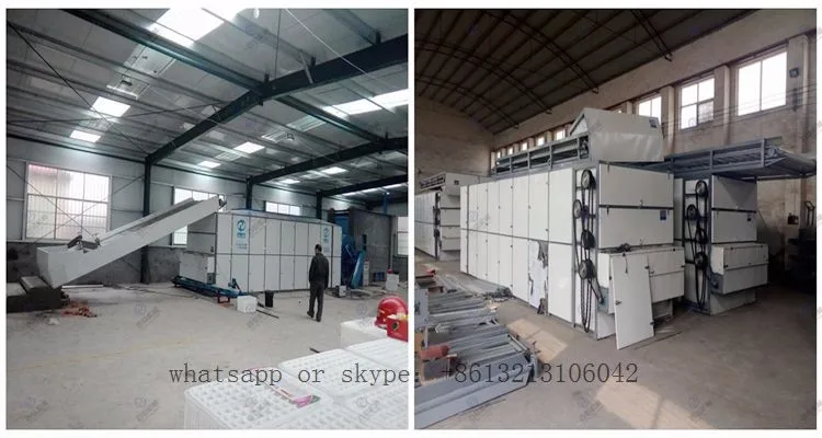 stainless steel mesh belt tea leaf dryer machine for drying medicine