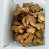 2019 Fresh Ginger Slices, Air-dried, Organic, Natural, Raw Material, Health Food, Green