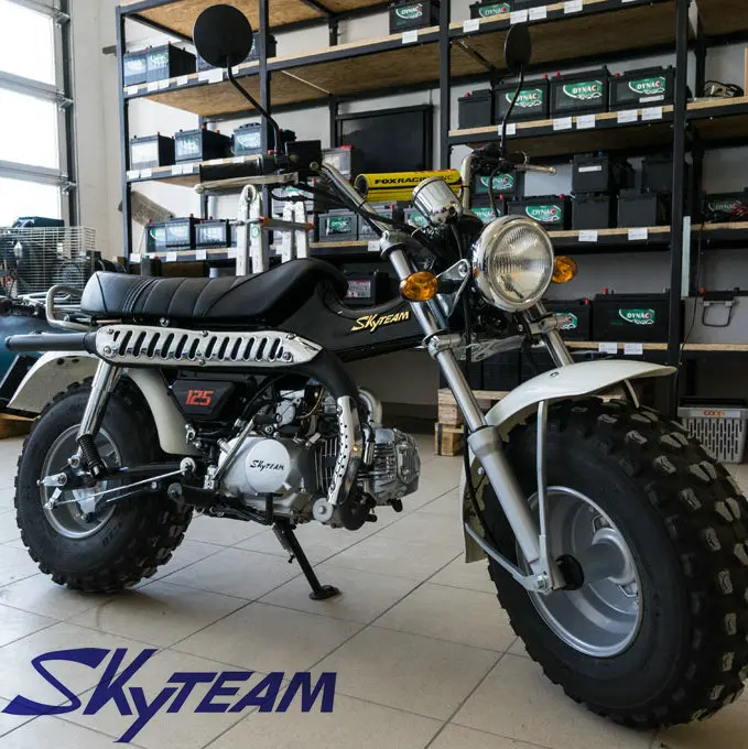 
SKYTEAM T REX 50cc 4 stroke on road motorcycle (EEC approved, 5.5 10