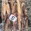 Seafrozen jigger caught frozen argentina illex squid size 150/200