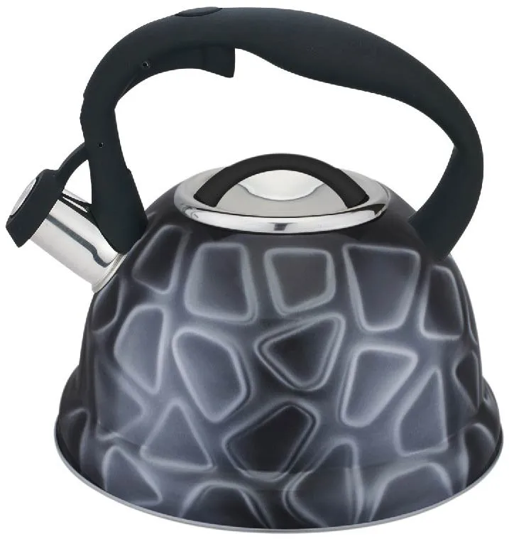Best Non Electric Stainless Steel Whistling Kettle Buy Best Stainless