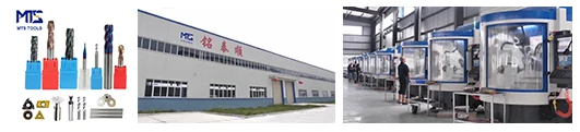 products and factory.jpg