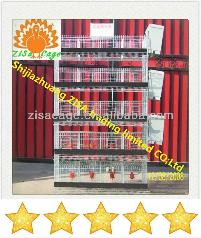 300 Birds Quail Egg Laying Cages And Automati Drinker System - Buy