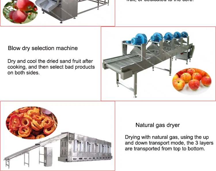 Fully Automatic Crab Apple Peeling,Poking And Slicer Drying Machine