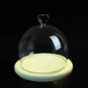 Wholesale Best Seller Glass Display Ware Glass Cheese Dome Wood Base