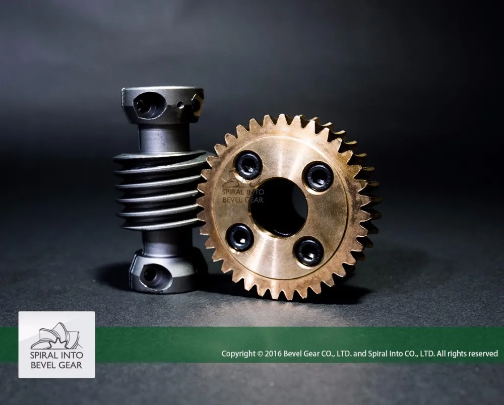 
High Quality Brass Worm Gear set for Speed Reducer 