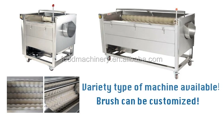 cocoyam peeling and washing machine