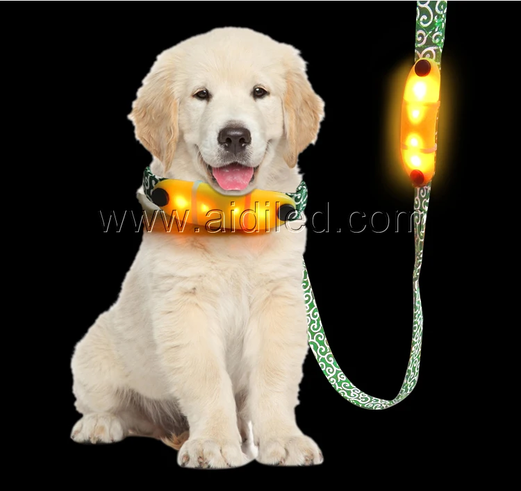 Safety LED Dog Leash, USB Rechargeable Flashing Light, 1000 Feed Visibility