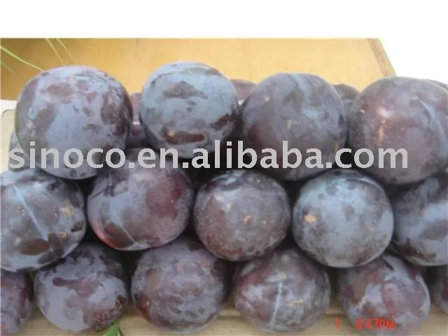 
Black Diamond Plum 