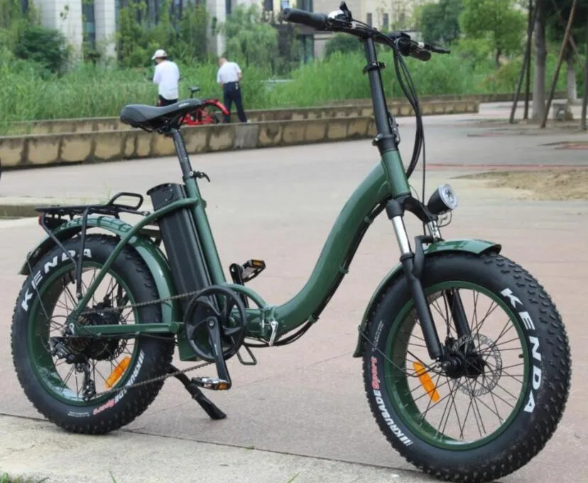 20" City Folding Electric Bicycle Belt Drive System For Lady(rsd509