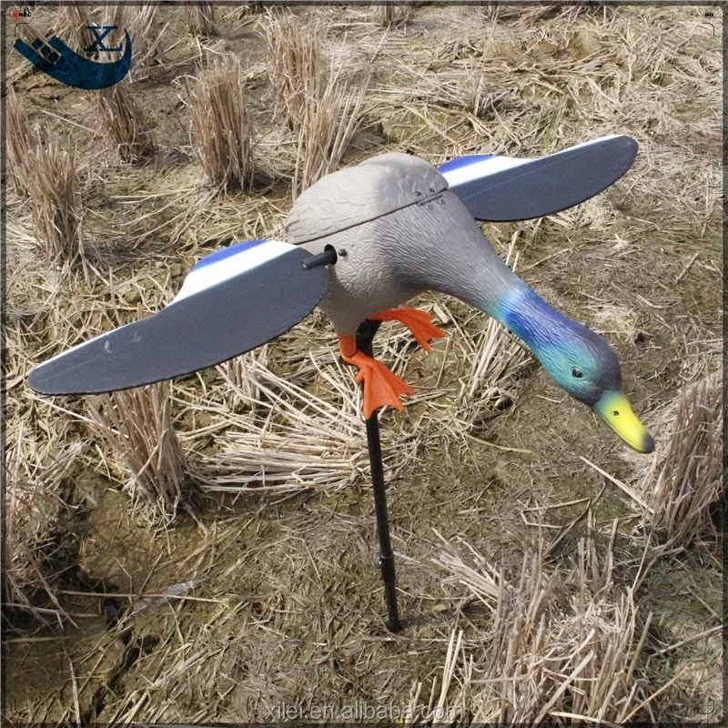 XL-1805-3 (2).jpg