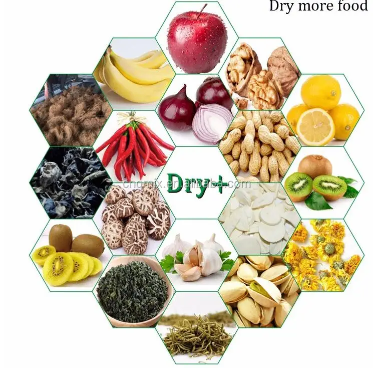 tray dryer 