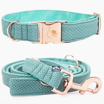 where to buy dog collar buckles