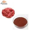 High quality Brownish Red goji berry Extract