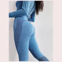 

Yoga Pants Womens Leggings Gym Seamless Sports Yoga Pants Hollow Out Trousers