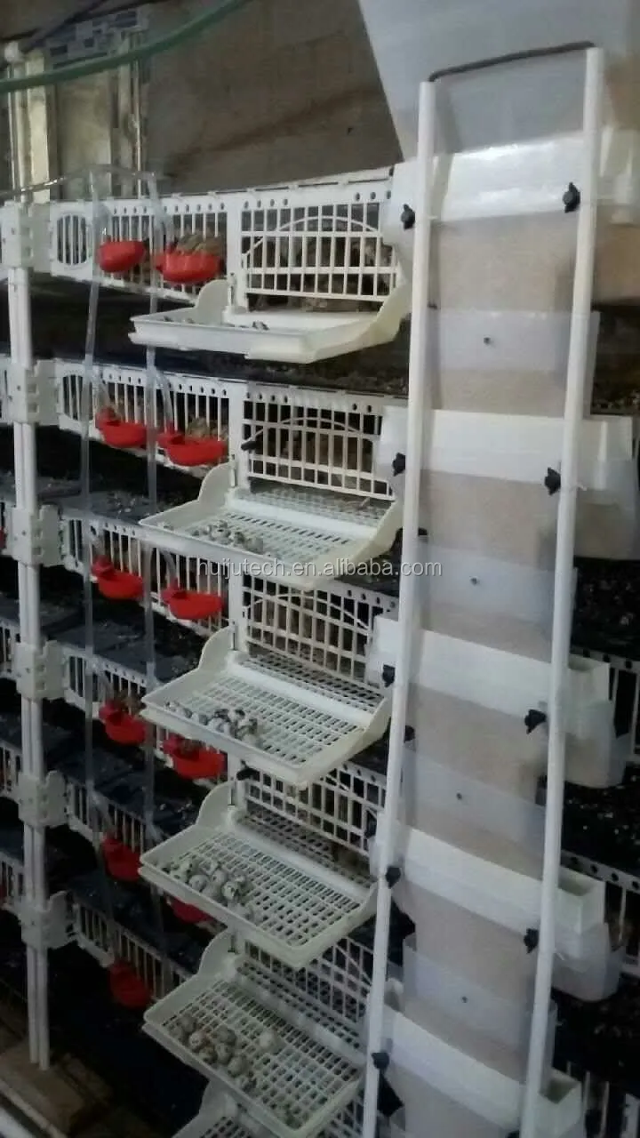 Convenient Feeding Hopper Type Plastic Quail Cage Hj-qc400b - Buy