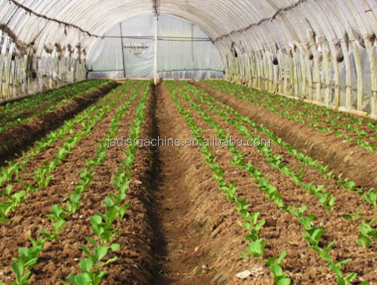 onion seeder
