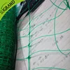 Plastic Support wire mesh/ Bean & Pea wire mesh