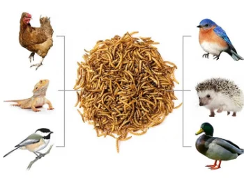 paste-pic-dp_uuid_72zno