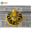 hot selling poultry chicks automatic farm equipment