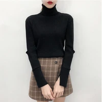 

Women's Cashmere Wool Long Sleeve Pullover Premium Quality Women Turtleneck Sweater