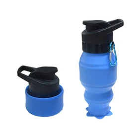 Shenzhen Yuan Feng Xing Ye Technology Co., Ltd. - Silicone Water Bottle 