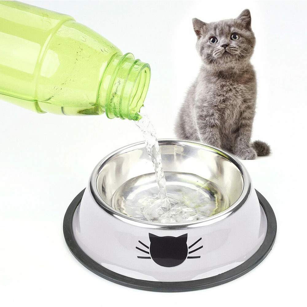 Cat Water Bowl