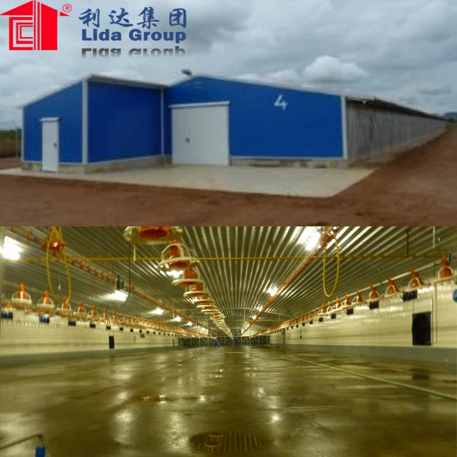 prefabricated  poultry slaughter house layer egg chicken cage/poultry farm shed house design