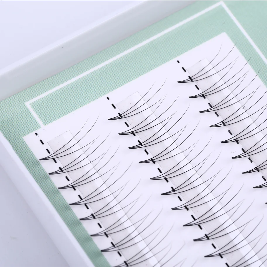 
Lashbeauty Professional Makeup Tools Private Label Premade 3D Volume Fans Eyelash Extension 