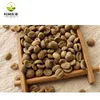 Fresh 100% Robusta Green Coffee Beans