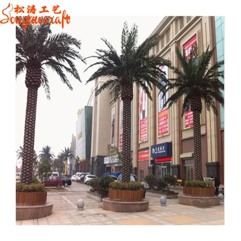 Artificial Outdoor Palm Trees Phoenix Canariensis Price Phoenix