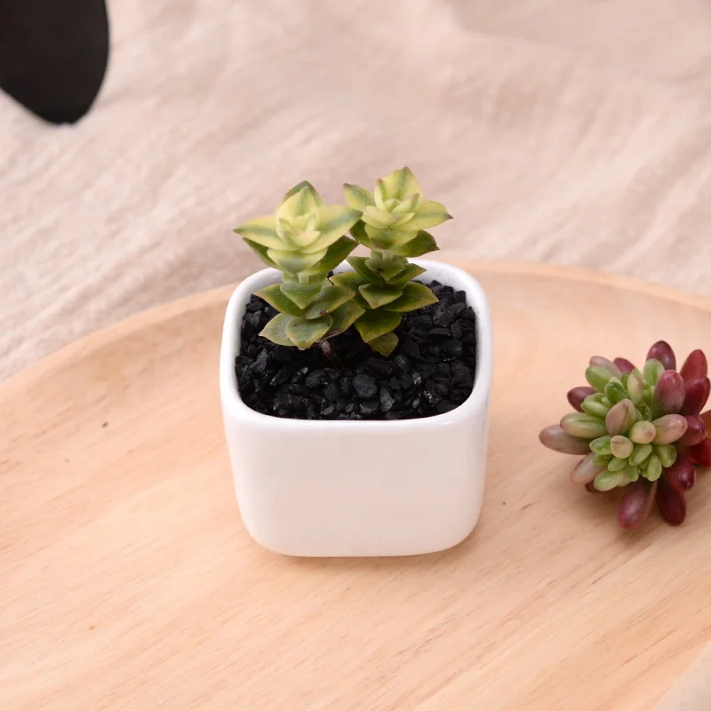 
Simple rounded square mini fleshy plant ceramic flower pot 