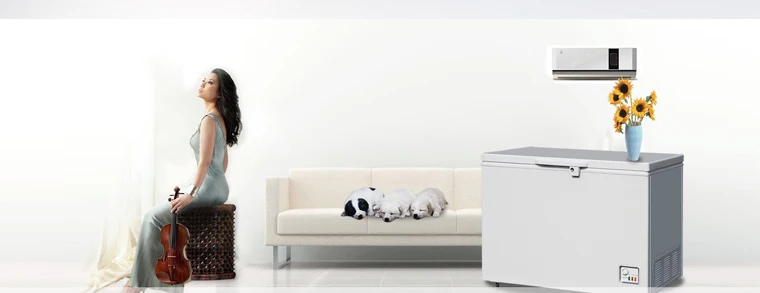 R290 New Refrigerant 400L Chest Freezer