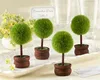 ball shape Topiary Tree Photo and Place/name Card Holder