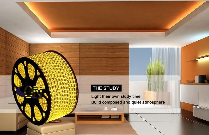 High voltage SMD 5050 RGB 230V 220V 110V flexible led strip light