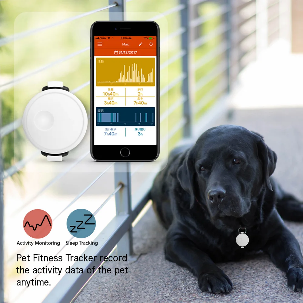 Bluetooth Pet Activity Monitor With App For Smart Phone Buy Bluetooth
