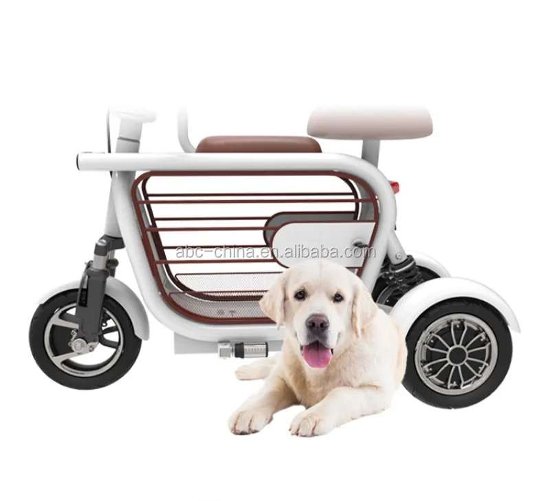 electric bike with pet carrier