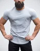 2017 Fall Hot cake high quality Gym wear Custom Sports dry fit t shirts manufactured in China