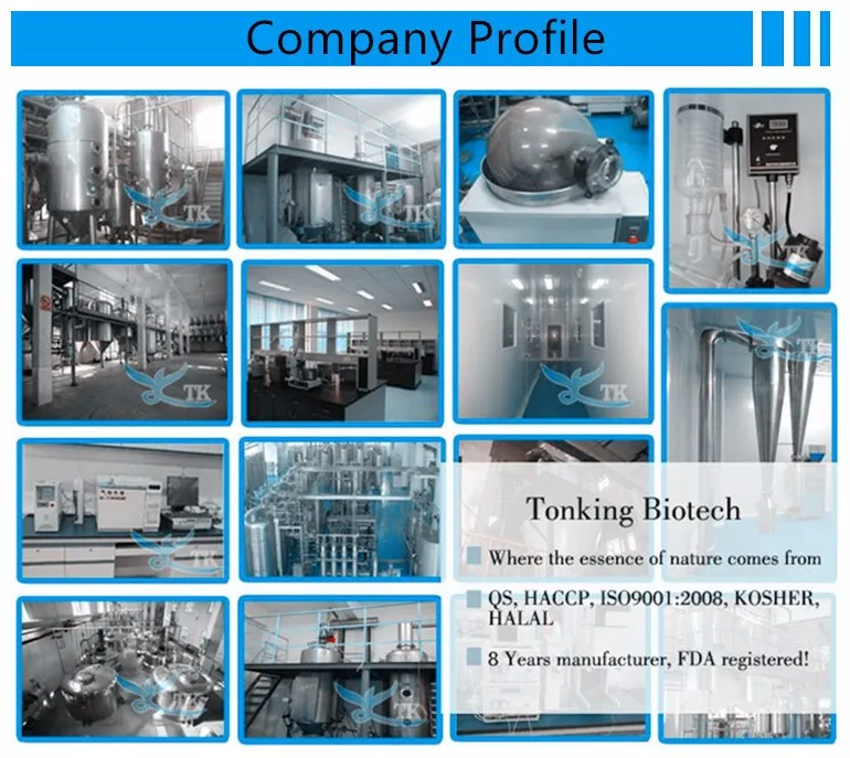 company Profile 