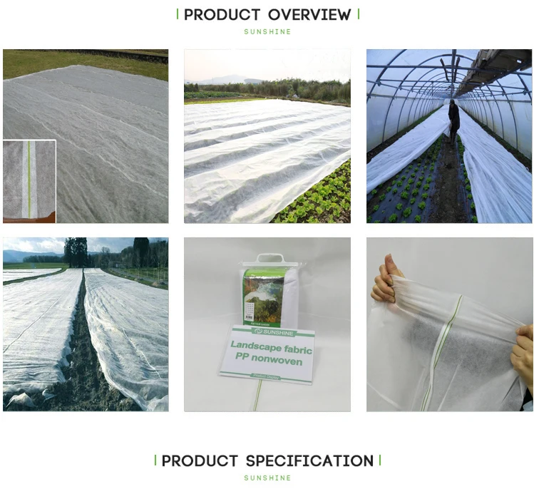 uv Agriculture  non woven fabric pp nonwoven white UV Weed control nonwoven fabric