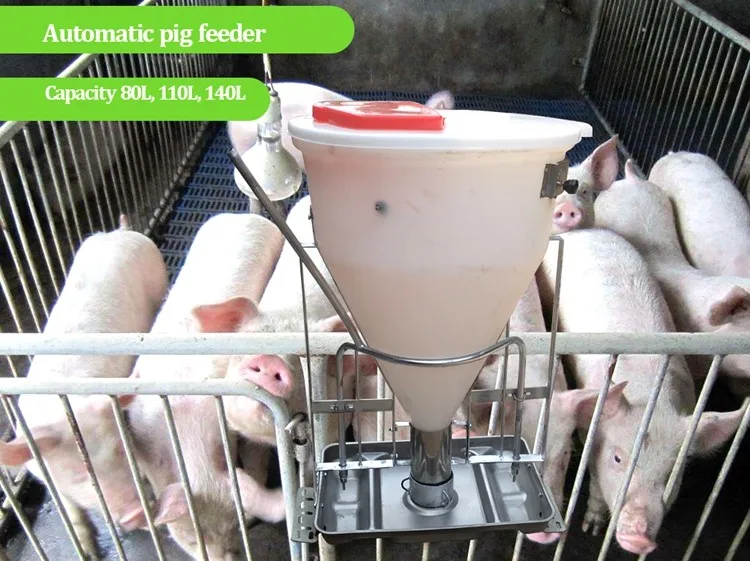 automatic pig feeder for sale
