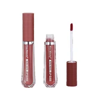 

pintalabios Hot Sale matte lip gloss wholesale oem liquid lipstick