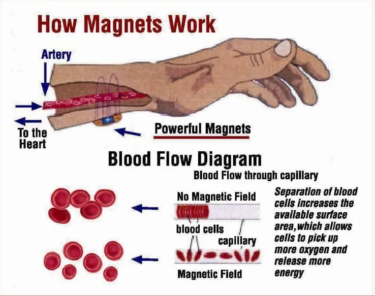 how the magnetic work-Cici