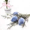 factory price low moq latex free beauty sponge with pvc box